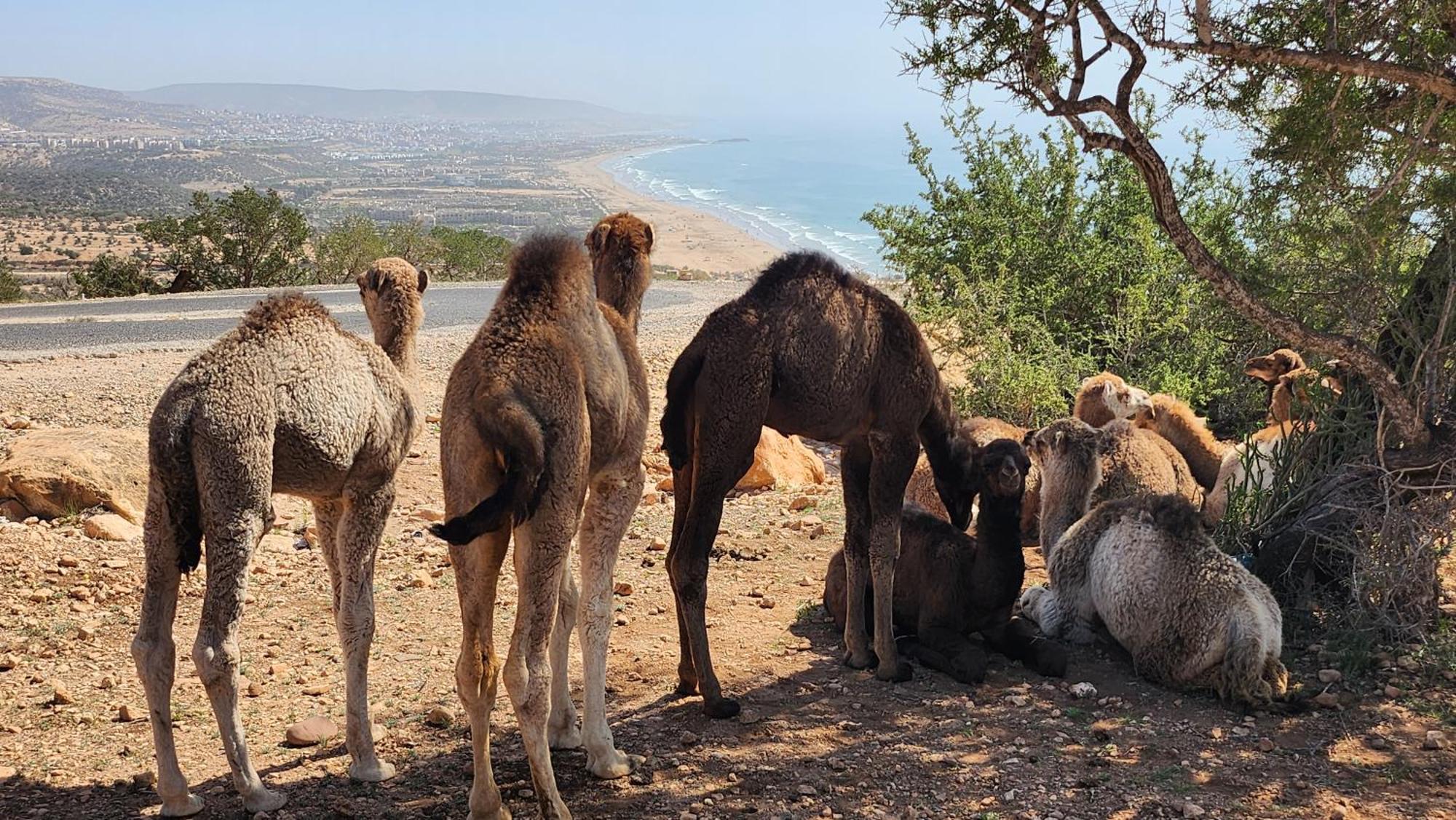 Appartamento Taghazout Panoramic Esterno foto